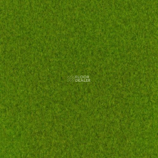Sommer Needlepunch Exposhow Exposhow Spring Green 9631 фото 1 | FLOORDEALER